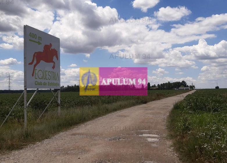 Teren 715mp în Snagov lângă Equestria - 15