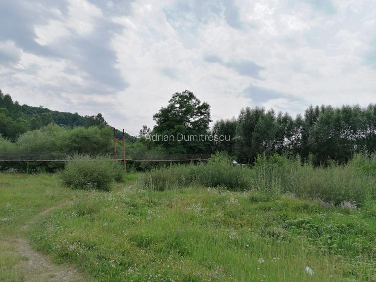 Curte 1512/3025mp , Bughea de Jos, 5 min Valeni PH - 20