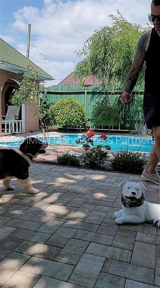 Casa WOW EXLCUSIVITATE  tip P+M - 3