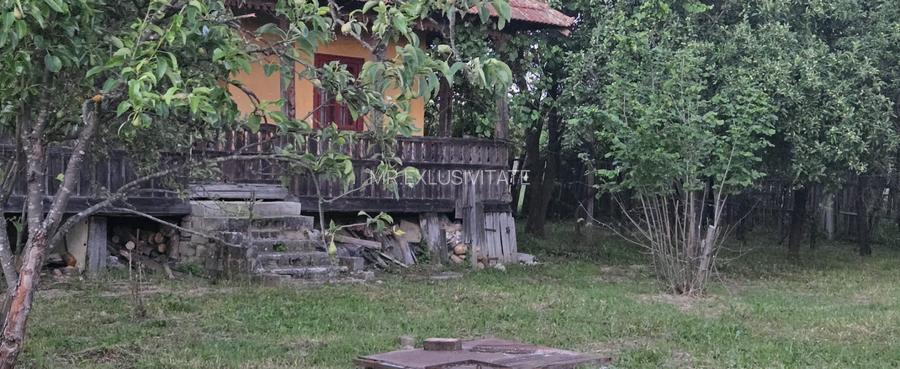 Casă cu 7.769 mp teren și pădure | Budieni | 53.000€ - 6