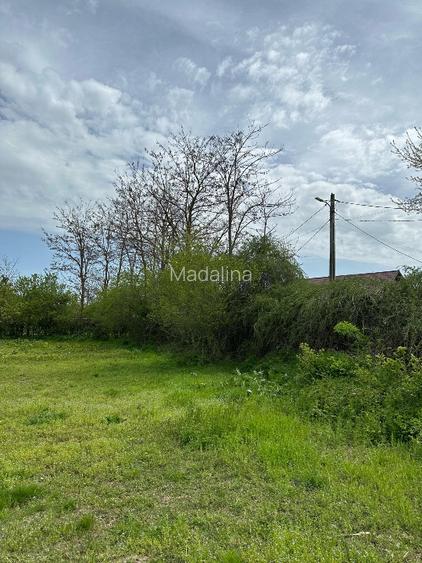 Vând teren intravilan stradal , posibilitate  parcelare  - 8