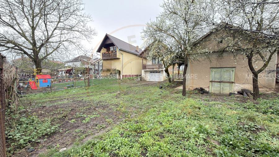 De vânzare 2 Case de vinificație cu Teren 4108 mp - Grădina Viilor - Carei - 3