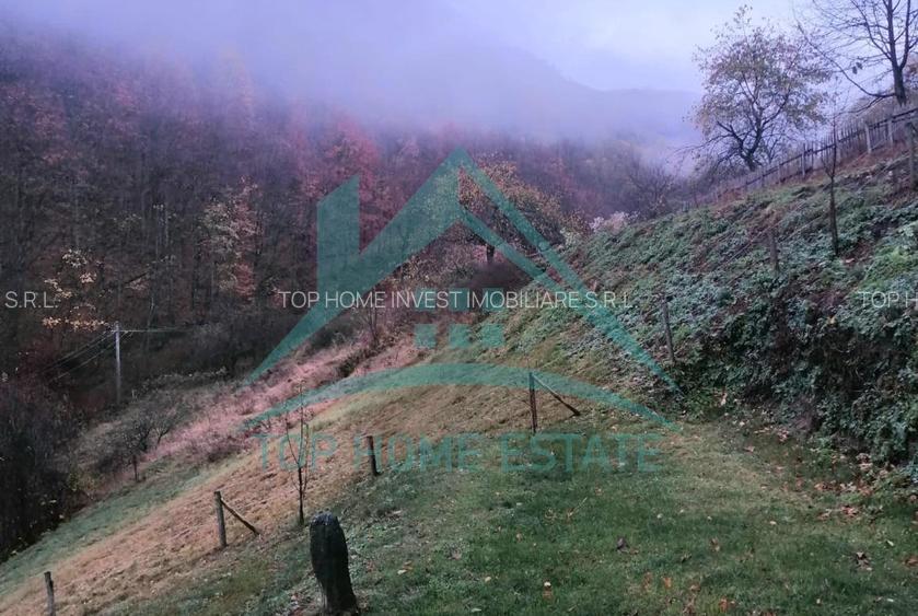 Cabana cocheta de vanzare cu teren generos 3000 mp, Baisoara! - 11