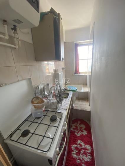 Camera de camin 15 mp, in Valea Rosie, la 18.000 euro cu baie si bucatarie - 3