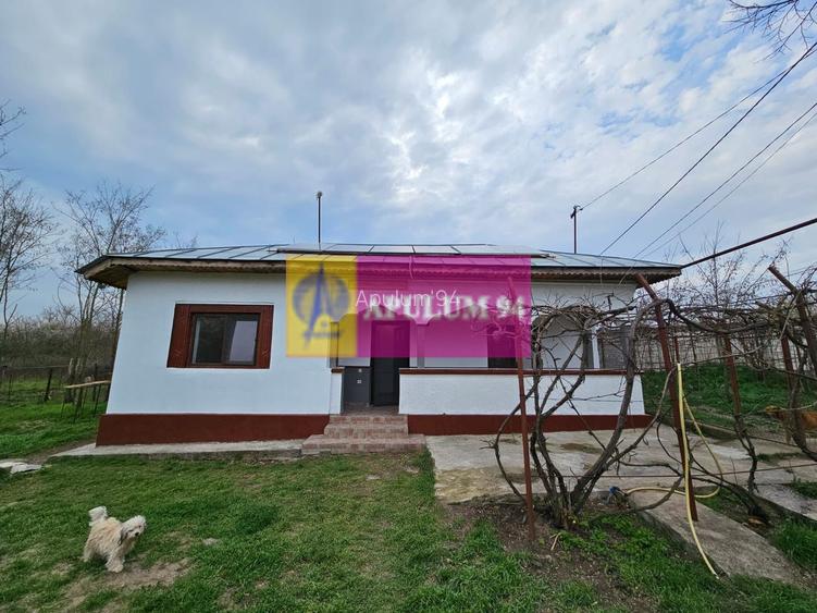 GIURGIU - COM. BUCSANI (SAT OBEDENI) CASA 2 CAM DE VANZARE - 3