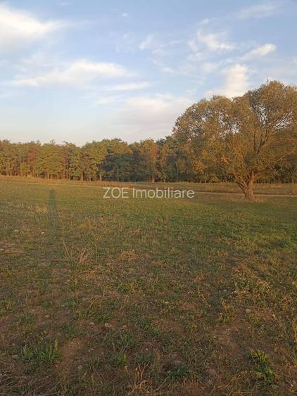 De vânzare teren extravilan langa Arcus - 6