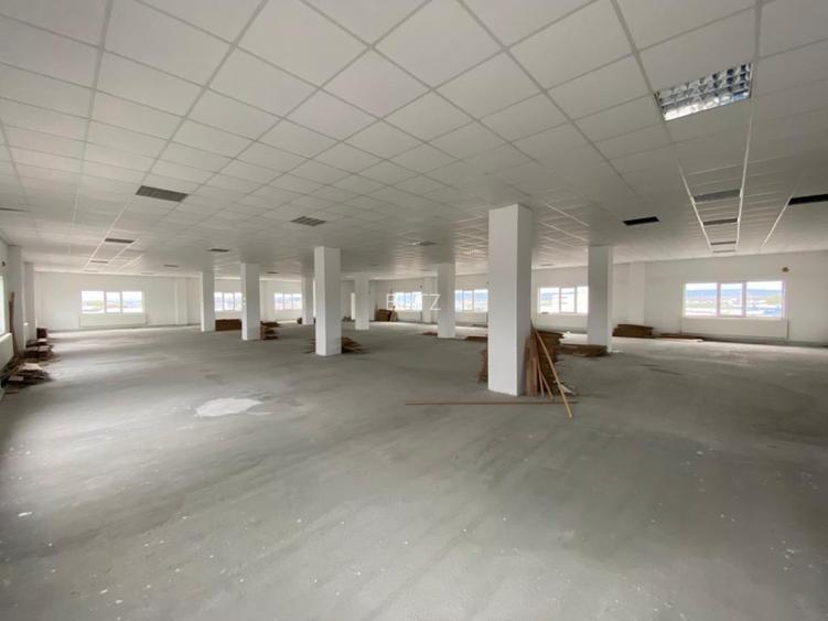 Clădire comercială 3225 mp, teren 5850 mp, zona Romanești - 4