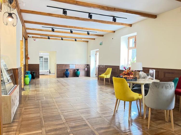 Spatiu comercial zona Lipovei - 2