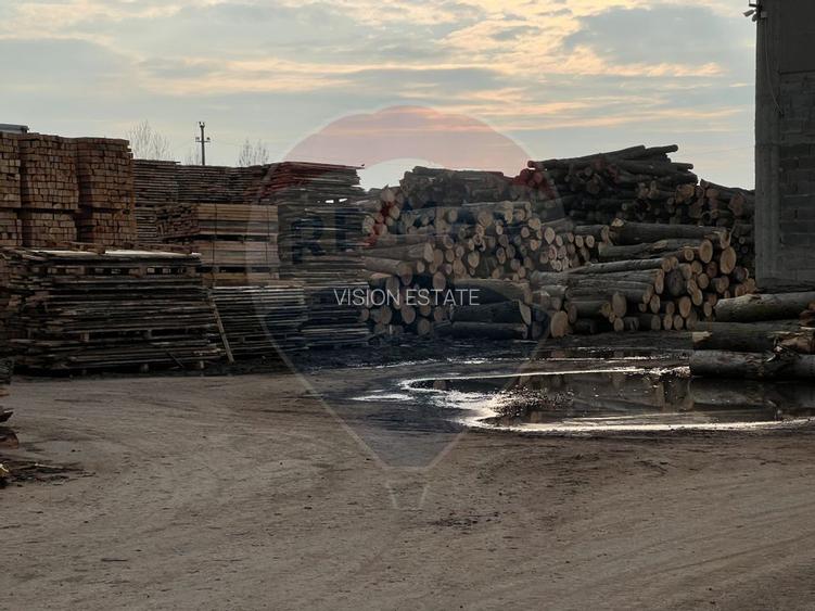 Spatiu industrial de 7,756mp de vanzare - 5