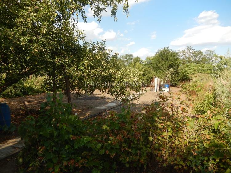 Calugareni-Branistari-casa 4 camere, teren 1965 mp, curent, put, libera,69900 € - 29