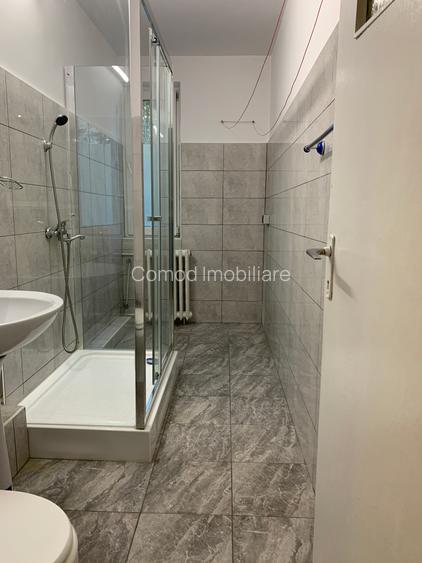 Garsoniera Teiul Doamnei - 2