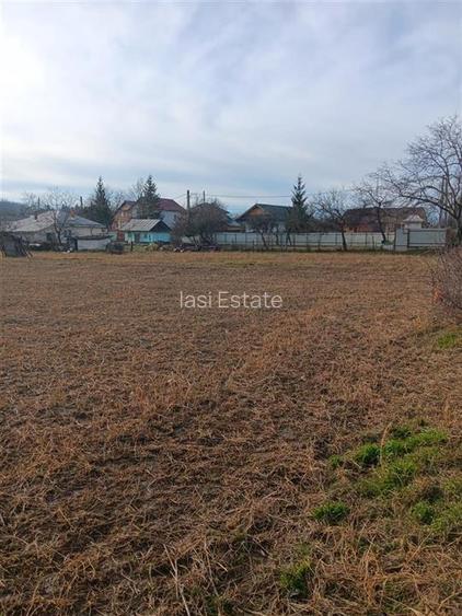 Teren 3500mp.zona centrala Paun Bucium la asfalt cu toate utilitatile - 4