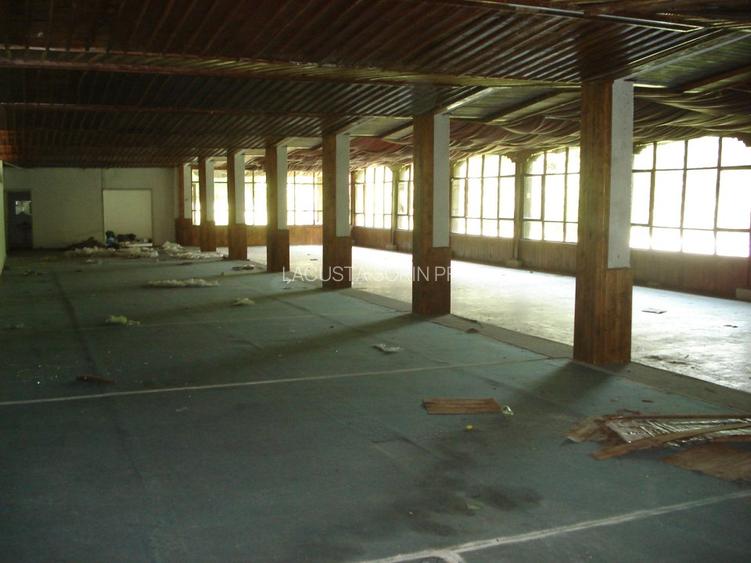 Conac istoric clasa B, 13 ha teren, valoare istorica - 16