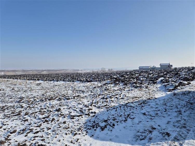 Teren Frumoasa - parcele de 800 mp - 1500 mp - 2