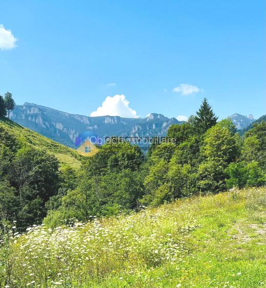  TEREN Izvoru Muntelui, langa orasul  BICAZ - 4