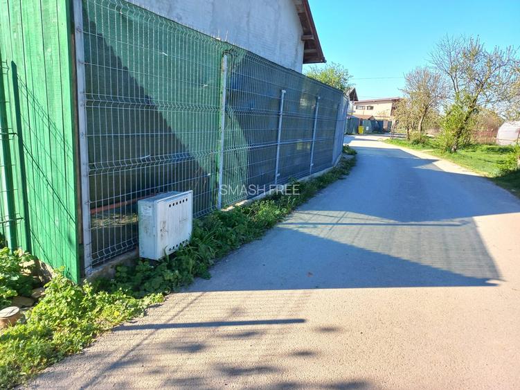 Teren intravilan 2927 mp - com. Domnesti sat Teghes - 4