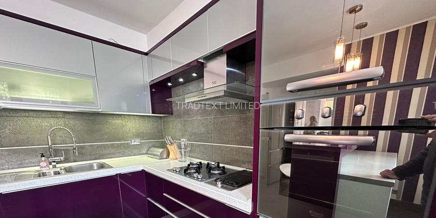 Dorobanti ,250 mp ,5 camere,terasa - 4