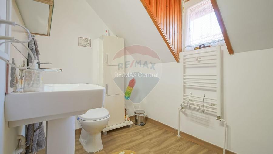 Casă falnică, curte individuală, langă Piața Unirii, în inima Scheilor - 23