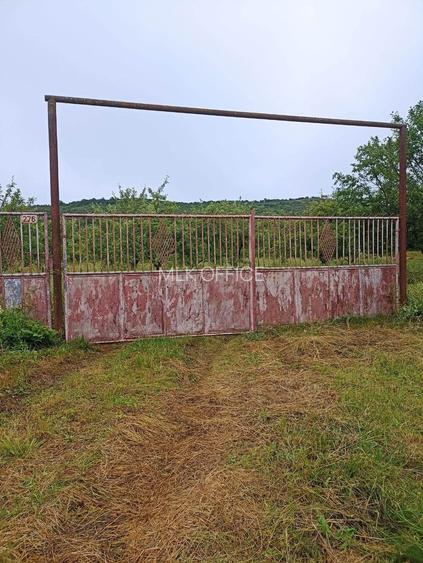 Tren si casa de vacanta in Panticeu - 7