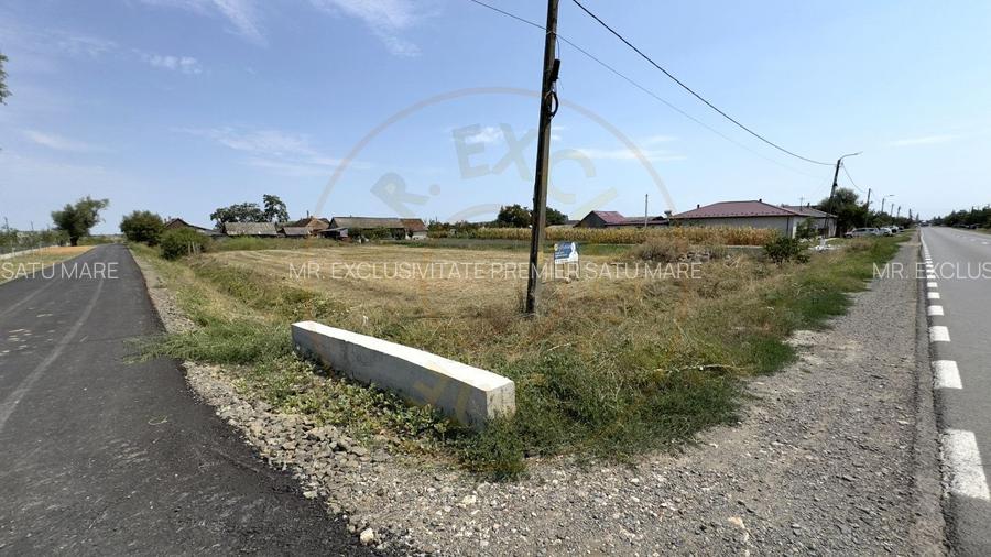 Teren intravilan 1450 mp 397 DN1F - Loc. Ghenci - Jud. Satu Mare - 5