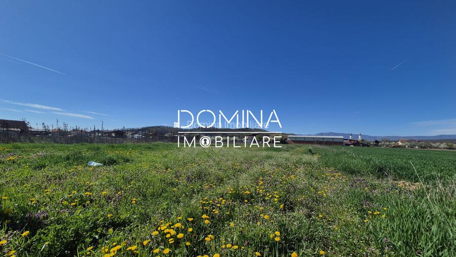 Vânzare loturi teren intravilan 520 mp - Sat Ceauru - la 10 km de Târgu Jiu - 2