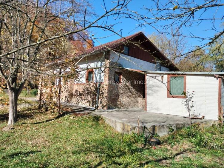 Iedera, Cricovul Dulce, casa de vanzare 90mp, teren 2450mp - 14