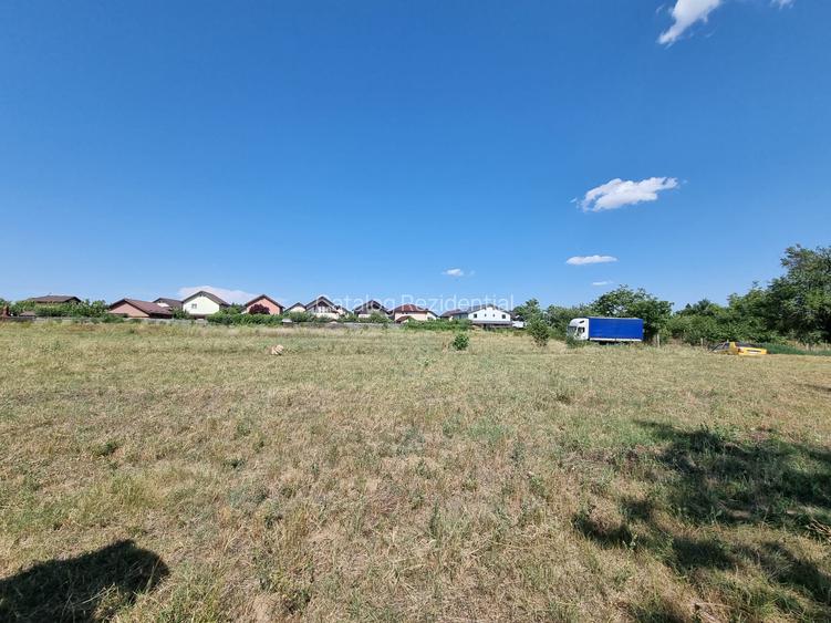 Teren de vanzare in Loc Domnesti - Tudor Vladimirescu - 4