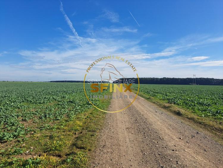 Teren intravilan Branesti 27000 mp km 12 A2 investitie - 2