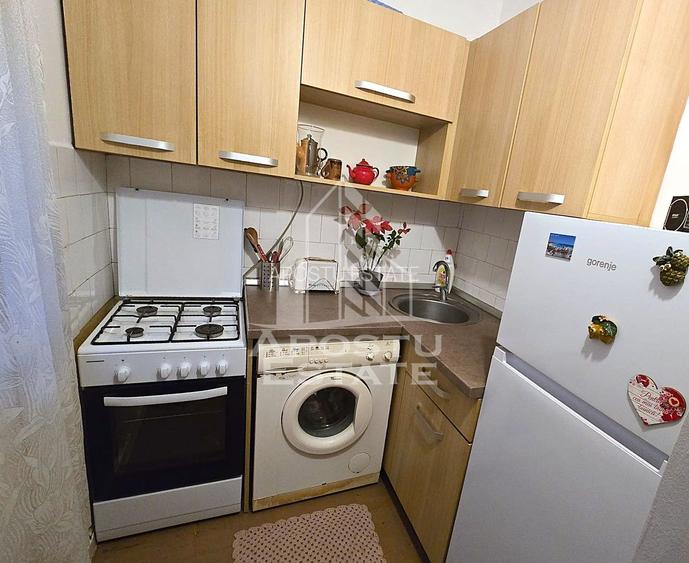 Garsoniera Micalaca Orizont - 4