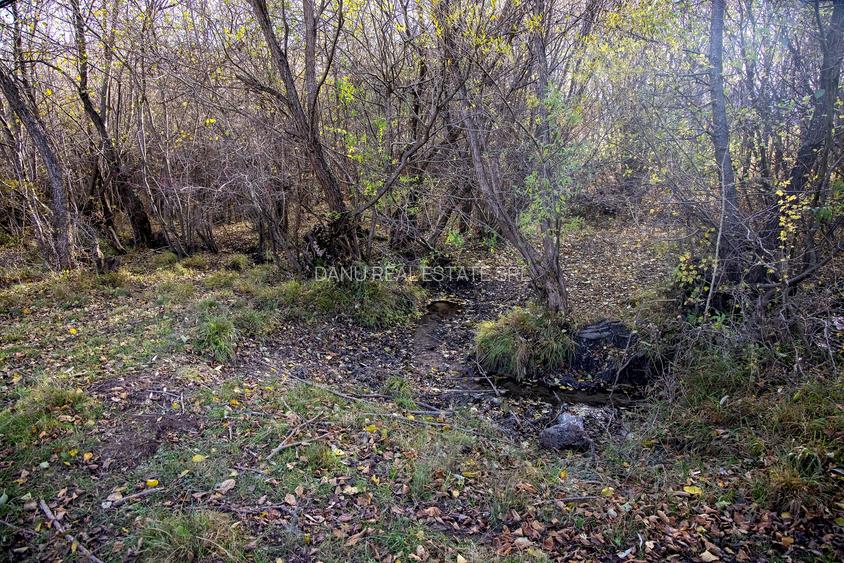 Comision0% Teren intravilan  2500mp Zarnesti Tohanita-investitie - turism - 6