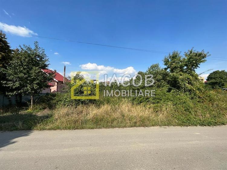 Teren intravilan, strada Fermelor (Pietricica), Piatra Neamt - 3