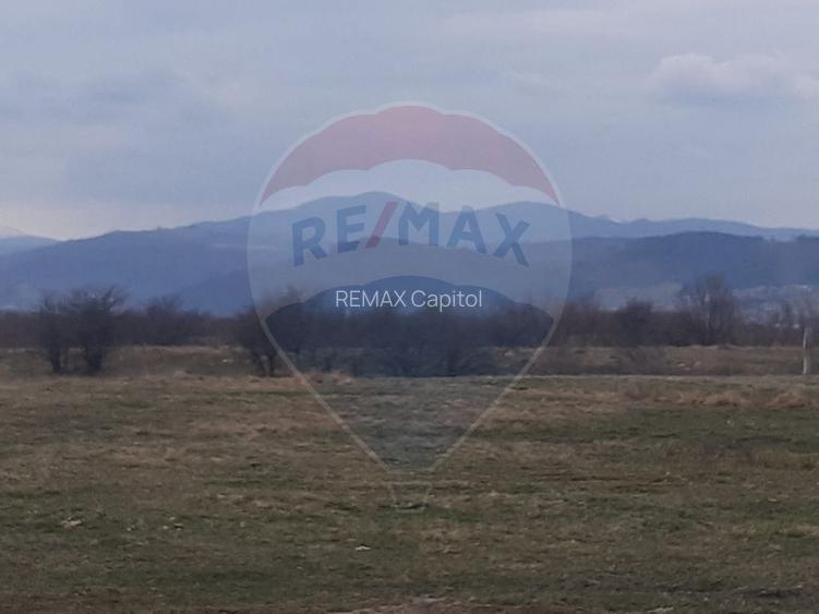 Teren 10,000mp Rasnov / Drumul Panicel - 4