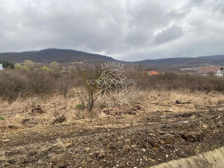 Teren 12,719 mp cu deschidere la DN17-ideal hala/parcare-Crainimat - 4