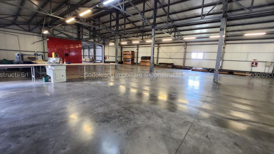 Spatiu industrial productie/ depozitare, Timiș - 2