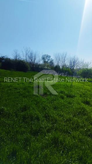 Teren intravilan de vânzare – Grădiștea, Ilfov, Aleea Primăriei - 2