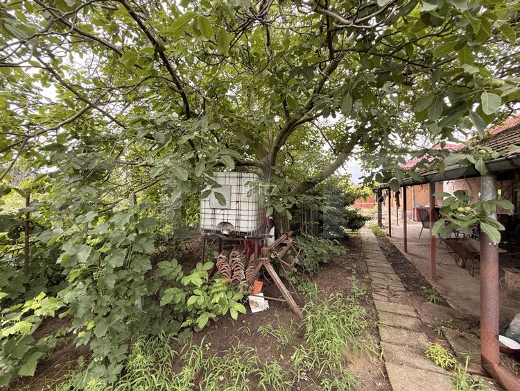 Teren IV 1.308 mp, cu casă veche și grajd, dublă deschidere, zona Preajba - 11