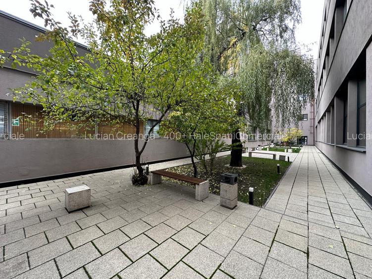 Spatii depozitare, restaurant, birouri, de la 400mp la 1600mp, zona C. Felicia - 8