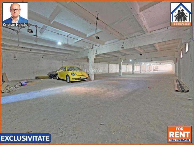 Hale de inchiriat in 1 Decembrie Ilfov | NILS Imobiliare - 5