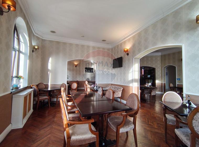 Două vile de patrimoniu, restaurate integral - 17