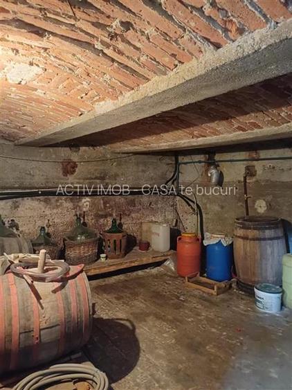 Casa de vanzare in Talmaciu - 19