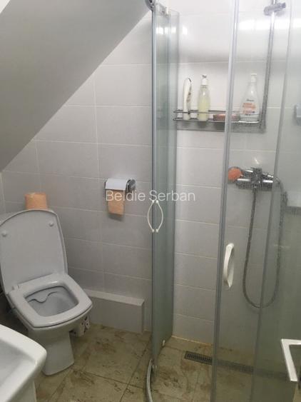 Casa si teren 1000 mp - zona deosebita, pe Furnica, langa Peles - 12