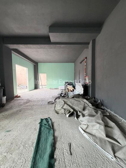 Zona P-ta Alba Iulia sp 165 mp open space +terasa 120 mp - 5