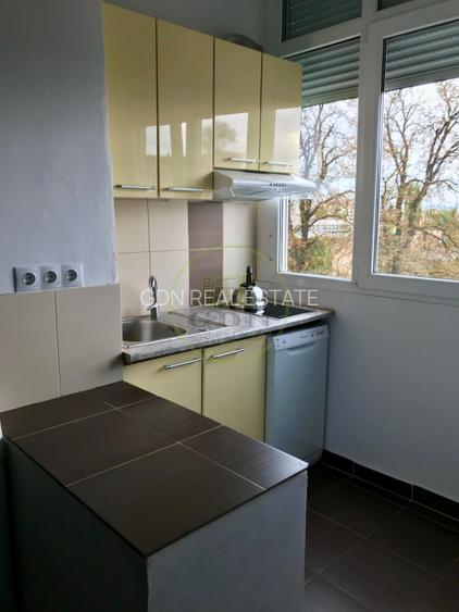 Apartament 1 Camera de inchiriat zona Centrala - 11