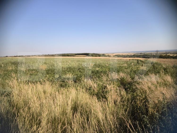 Teren 30.350 mp (600 mp intravilan) – ideal investitie, Carcea Metro  - 4