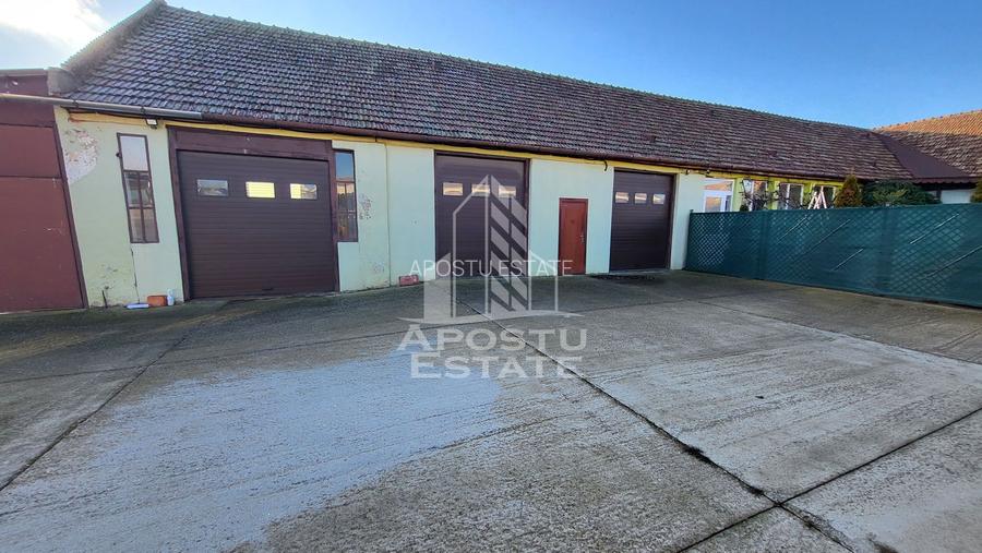 Casa individuala,independenta energetic, 5 camere,teren3783,Peciu Nou - 28