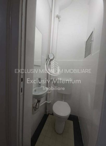 Parter Spatiu Birouri Capitale - Dorobanti /Piata Victoriei  - 7