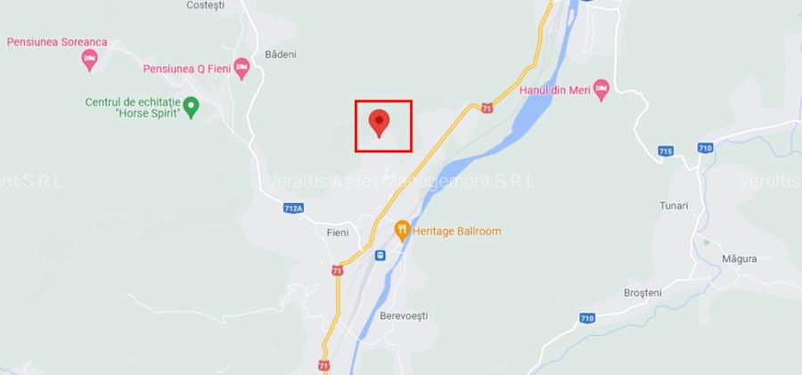 Teren intravilan faneata Fieni 4.488 mp (licitatie) - 6