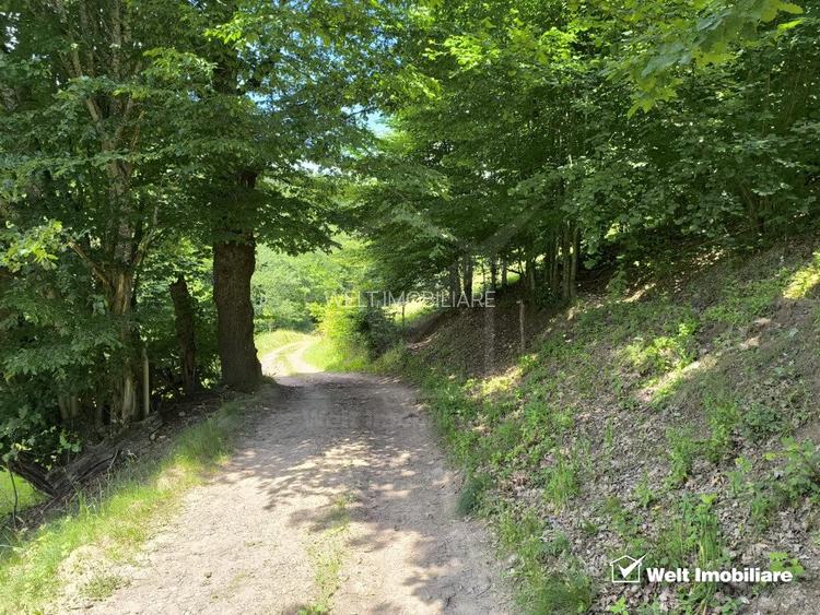 Teren extravilan, 1423 mp, Huta, com. Chiuesti, jud. Cluj, pt. investitie - 4