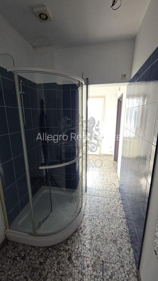 Dorobanti | Vila Individuala | 7 camere | Terasa - 16