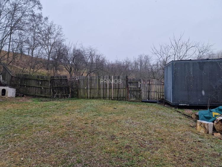 Vila P+E si teren intravilan 1,5Ha,cu zavoi+iaz,lac peste si livada-investitie - 4